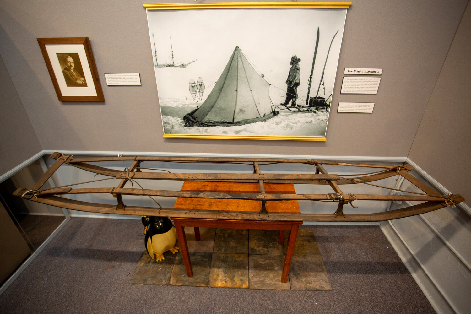 The Cook Gallery sled